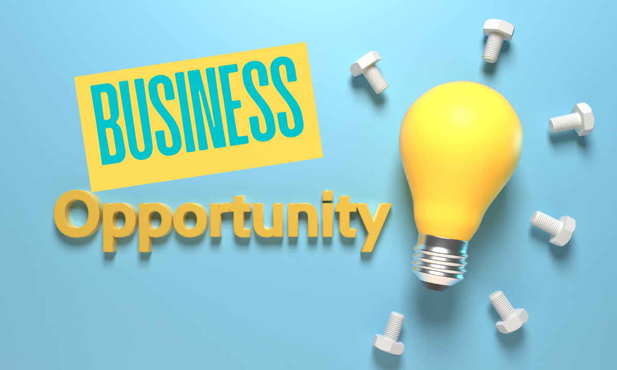 Business Opportunities in India